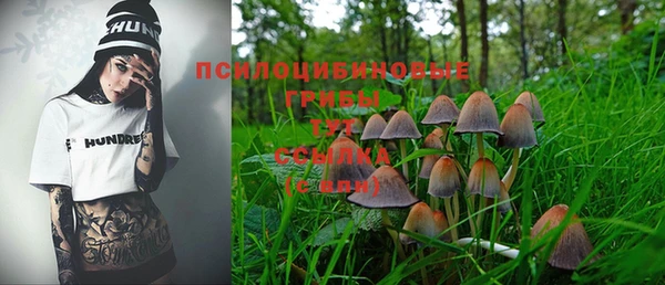 ГАЛЛЮЦИНОГЕННЫЕ ГРИБЫ Алзамай