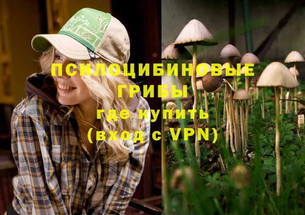ГАЛЛЮЦИНОГЕННЫЕ ГРИБЫ Алзамай