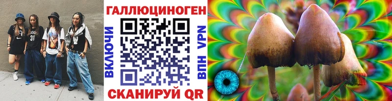 МЕГА вход  где купить   Славск  Псилоцибиновые грибы MAGIC MUSHROOMS 